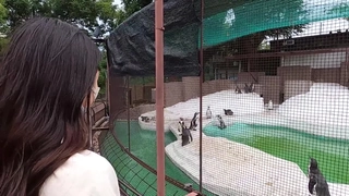 素人ナンパ 代々木でみつけたウブな女子●生に18cmメガチ○ポを素股してもらったら、こんなにヤラしい事になりました。