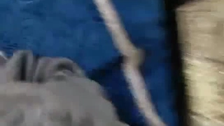 点赞发完整版！超淫荡对话，我老公要谢谢你把我屁股操的这么大！