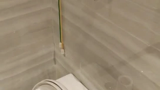 想入飞飞