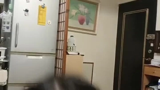 女主导 前列腺的研究